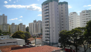 A7335 1.jpg